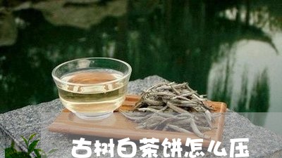 古树白茶饼怎么压/2023061502036