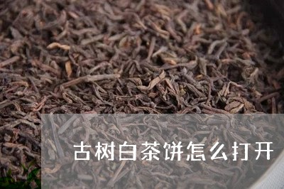 古树白茶饼怎么打开/2023081380837