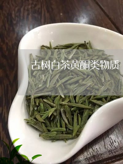 古树白茶黄酮类物质/2023081351724