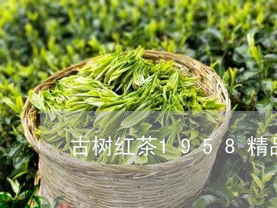 古树红茶1958精品/2023092047403