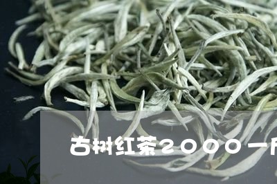 古树红茶2000一斤/2023060993727