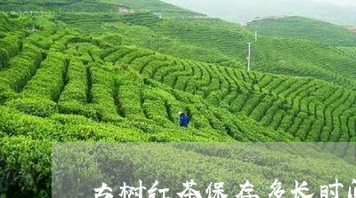 古树红茶保存多长时间/2023071577258