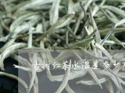 古树红茶水温是多少度/2023071585949