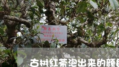 古树红茶泡出来的颜色/2023060938160