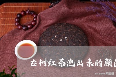 古树红茶泡出来的颜色/2023092052613