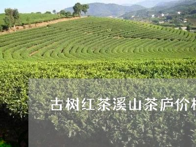 古树红茶溪山茶庐价格/2023060978581