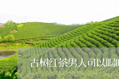 古树红茶男人可以喝吗/2023071534837