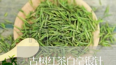 古树红茶白毫银针/2023061500793