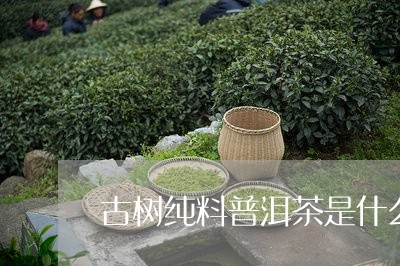 古树纯料普洱茶是什么/2023093082503