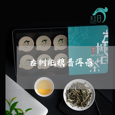 古树纯粮普洱茶/2023101619794