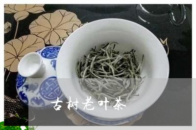 古树老叶茶/2023090241782