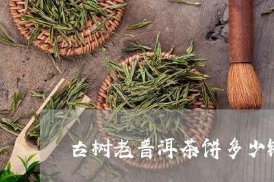 古树老普洱茶饼多少钱/2023092602036