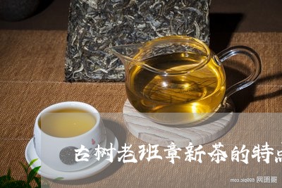 古树老班章新茶的特点/2023092490695