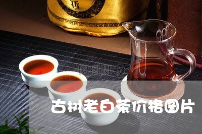 古树老白茶价格图片/2023071696158