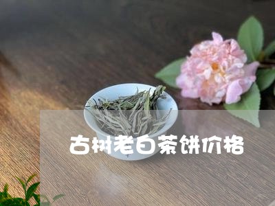 古树老白茶饼价格/2023061589592