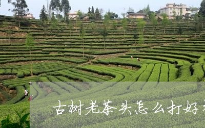 古树老茶头怎么打好看/2023071560493