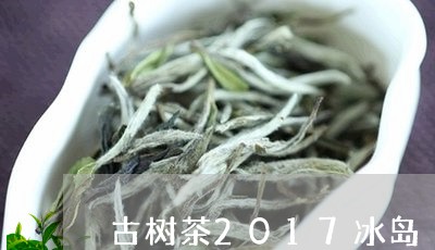 古树茶2017冰岛/2023042763825