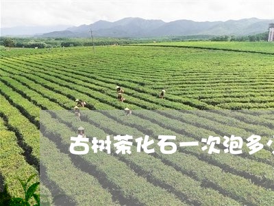 古树茶化石一次泡多少/2023092140414