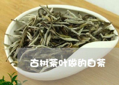 古树茶叶做的白茶/2023061569150