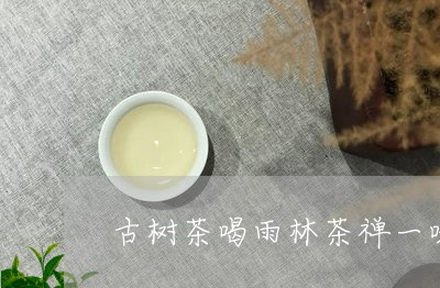 古树茶喝雨林茶禅一味的意思是什么/2023060474926