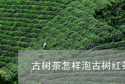 古树茶怎样泡古树红茶泡茶水温/2023053132794