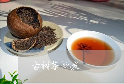 古树茶批发/2023041776423