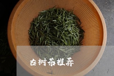 古树茶推荐/2023041809884