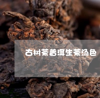 古树茶普洱生茶汤色/2023042748270