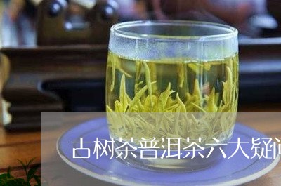 古树茶普洱茶六大疑问/2023062109705