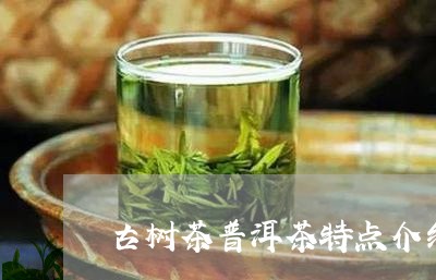 古树茶普洱茶特点介绍/2023121504817