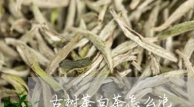 古树茶白茶怎么泡/2023061585259