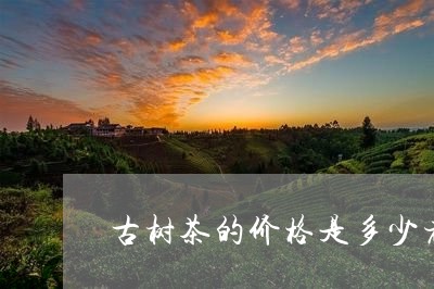 古树茶的价格是多少老树白茶价格/2023060190724