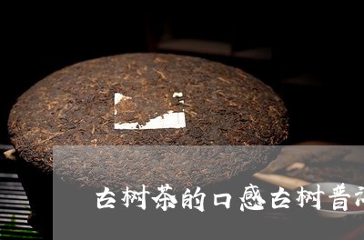 古树茶的口感古树普洱茶生茶的口感/2023060330571