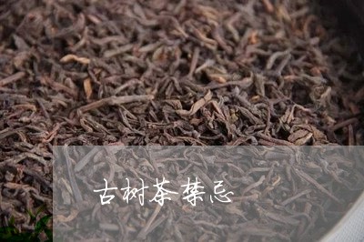 古树茶禁忌/2023041823913