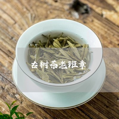 古树茶老班章/2023090709584