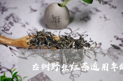 古树野生红茶适用年龄阶段/2023051128371