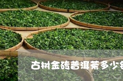 古树金砖普洱茶多少钱/2023092793948