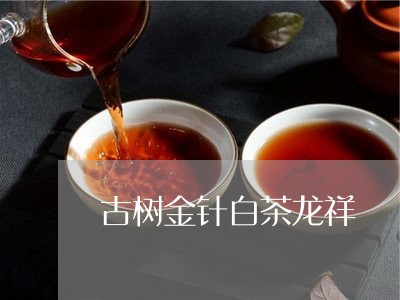 古树金针白茶龙祥號/2023071503735