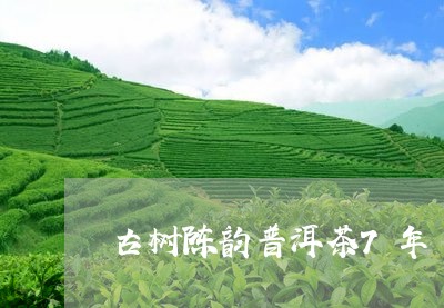 古树陈韵普洱茶7年/2023061687159