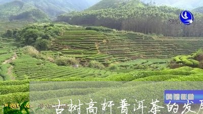 古树高杆普洱茶的发展/2023092951607