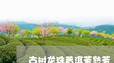 古树龙珠普洱茶熟茶/2023101601737