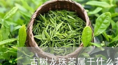 古树龙珠茶属于什么茶/2023092353906