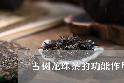 古树龙珠茶的功能作用/2023061140694