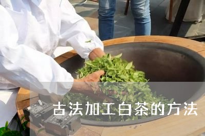 古法加工白茶的方法/2023071522927