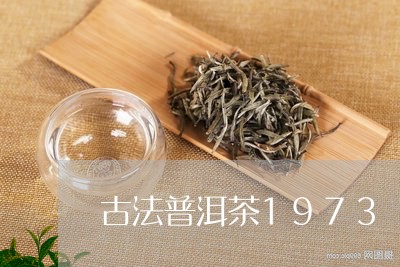 古法普洱茶1973/2023091519504