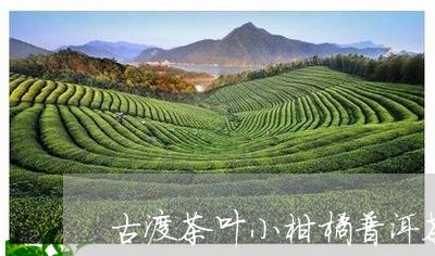 古渡茶叶小柑橘普洱茶/2023073176272