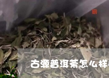 古源普洱茶怎么样好喝吗/2023112514804