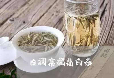 古澜寨福鼎白茶/2023062883606