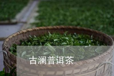 古澜普洱茶/2023090604946