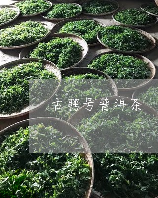 古聘号普洱茶/2023042506825